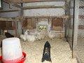 DSC08865