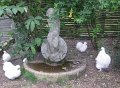 IMG_1208