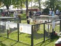 DSC00172