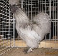 IMG_0253