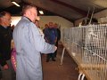 IMG_0279