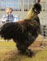 IMG_0057